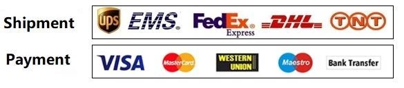 PAYMENT PAYMENT