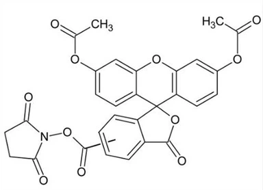 CAS:150347-59-4|5(6)-CFDA N-succinimidylester