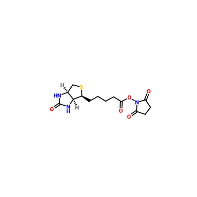 CAS-35013-72-0|BIOTINE-NHS