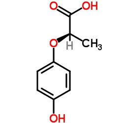 CAS:94050-90-5|(R)-( plus )-2-(4-Hydroxyfenoxy)propionzuur