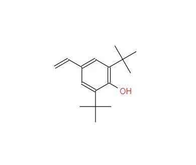 CAS:19263-36-6丨2,6-ditert-butyl-4-vinylfenol